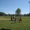 Xtra Shots - 