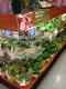 These plants are real