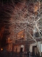 DSC00813.JPG.jpg