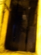 DSC00829.JPG.jpg