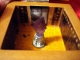 DSC00877.JPG