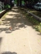 DSC01348.JPG