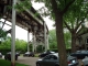 DSC01360.JPG