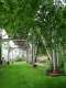 DSC01361.JPG