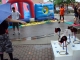 DSC01395.JPG