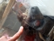 DSC01417.JPG