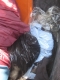 an entire trash bin full of clothes