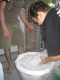 adding the ice