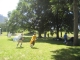 Game shots