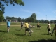 Game shots