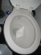 testing boat in toilet
