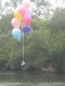 plum airborne for second time