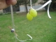 more trusty grape soldiers brought into the battle