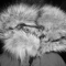 i am warm