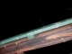 102_1982.JPG
