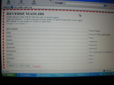 the madlibs task