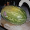 Blind Mellon Joke