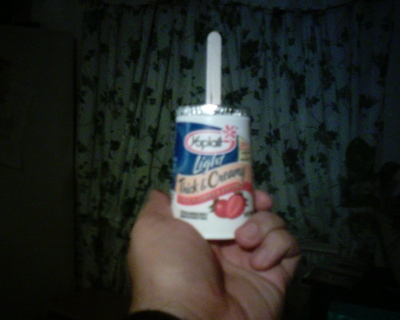 Yogurt on a Stick