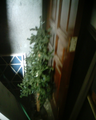 Charlie Brown Christmas Tree