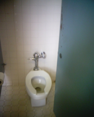 A Woman's Toilet A Woman's Toilet