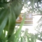 The Memory Card The Memory Card
