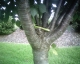 The Highlighter