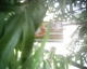 The Memory Card