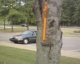 The Light Stick
