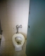 A Woman's Toilet