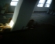 The Abandoned Floor