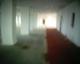 The Abandoned Floor - The Long Shot