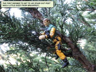 P.A.F.F. at Golden Gate Park, 03.jpg