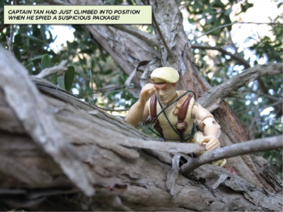 P.A.F.F. at Golden Gate Park, 06.jpg