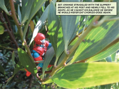 P.A.F.F. at Golden Gate Park, 08.jpg