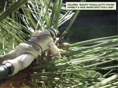 P.A.F.F. at Golden Gate Park, 10.jpg