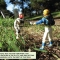 P.A.F.F. at Golden Gate Park, 13.jpg