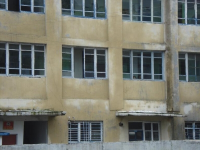 children in the windows