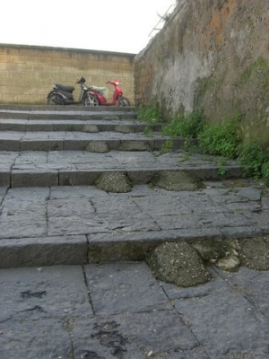 mopeds! why didn't I think of that?