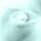 eye.jpg