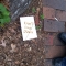 photocomp_wildcard3.jpg
