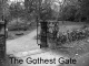 photocomp_bnw.jpg