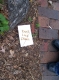 photocomp_wildcard3.jpg