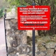 photocomp_wildcard4.jpg