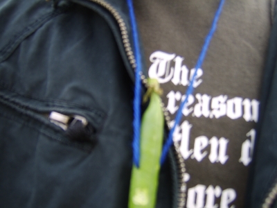 The pea
