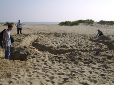 1 1/2 curves complete