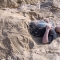 Buried