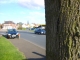 Tree shot #2