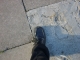 Footprint