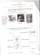 Quirk Of Nature Q1