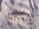 STA71157.JPG